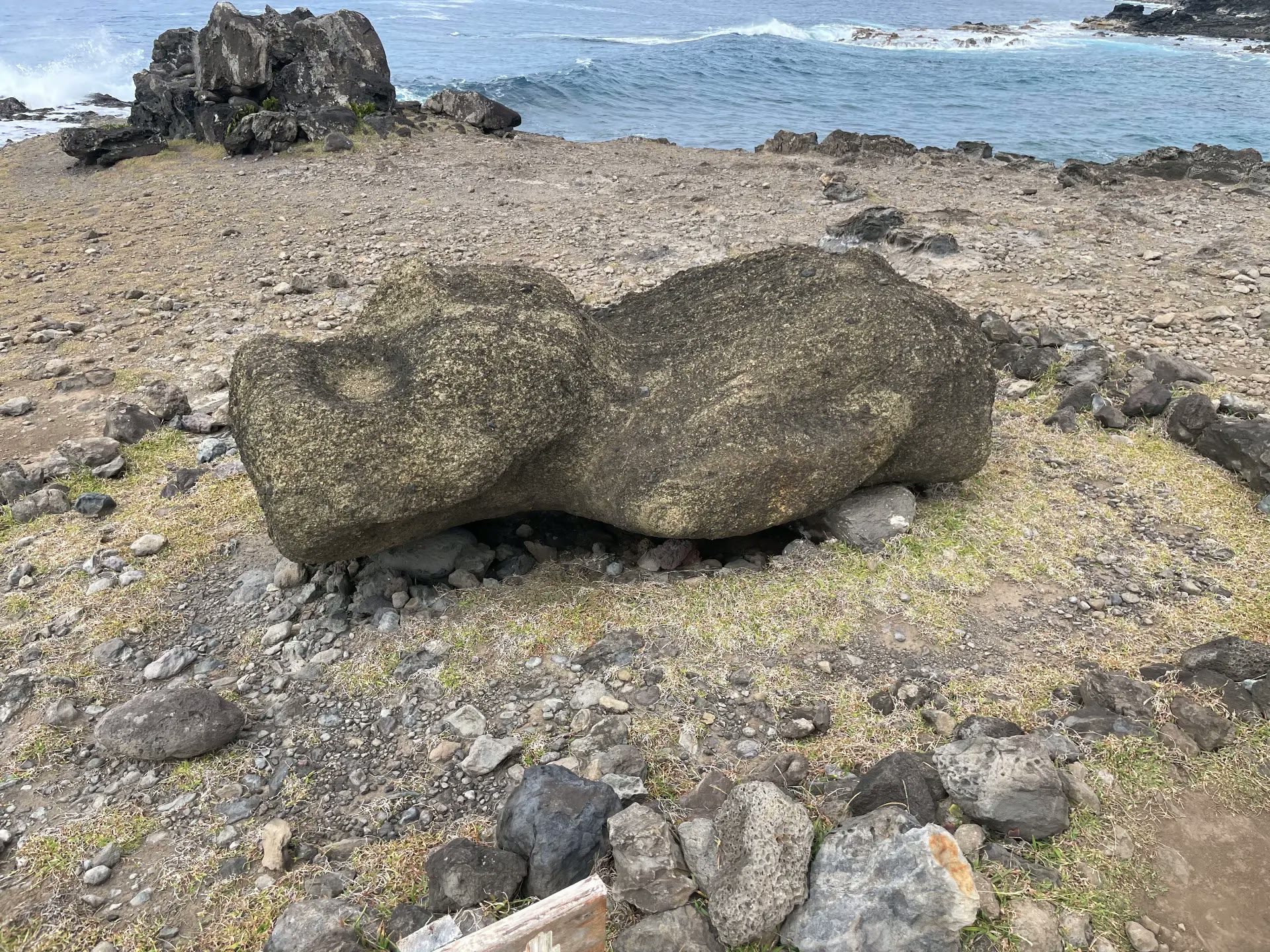 A fallen moai lying by the sea at Akahanga