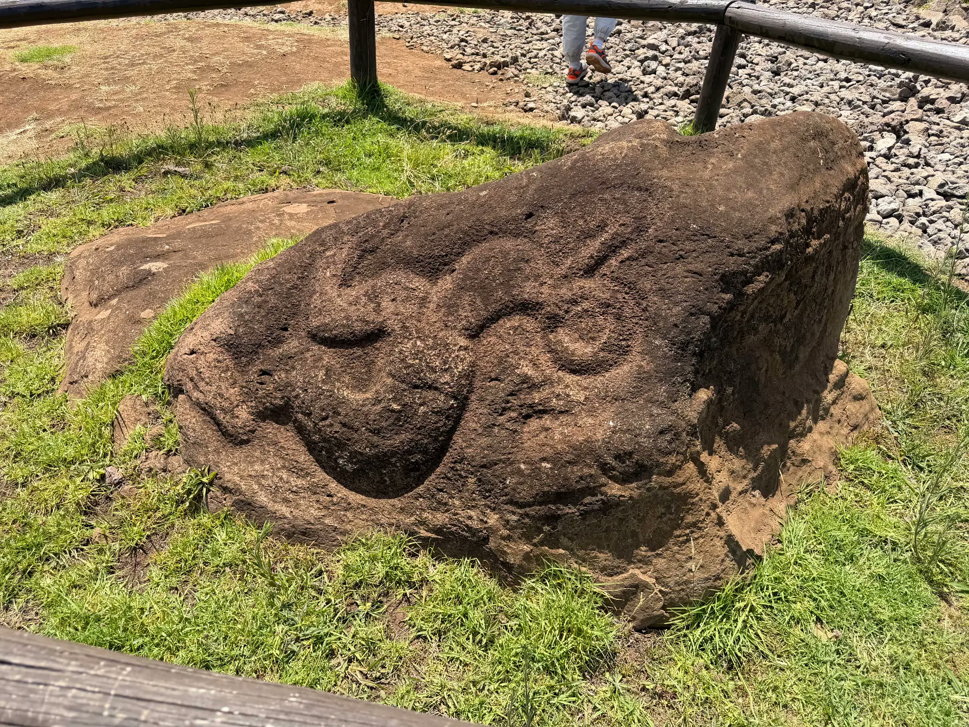 A rock carved with spiral relief at Orongo