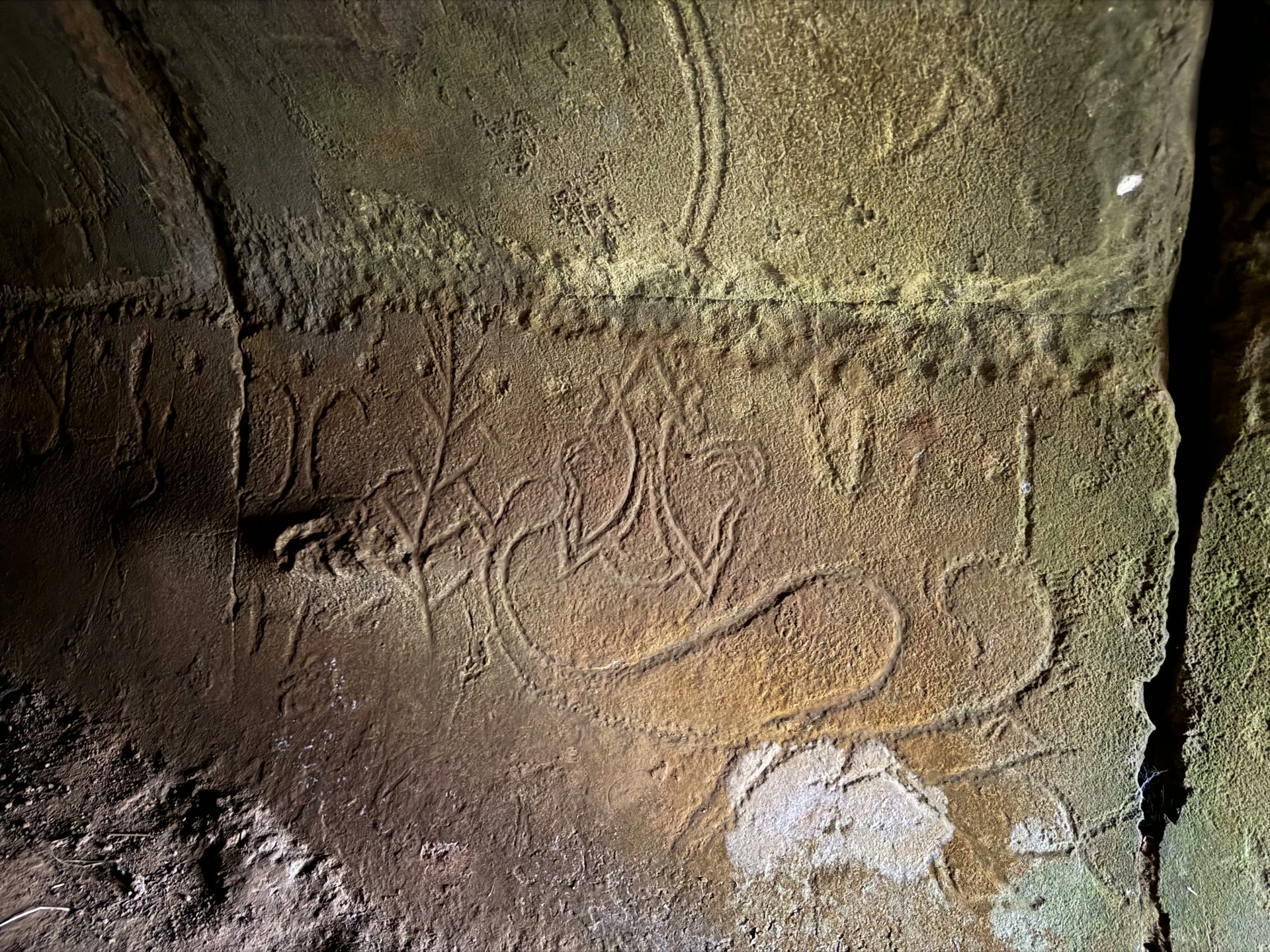 The entrance to the Ana o Keke cave on the cliffs of Poike