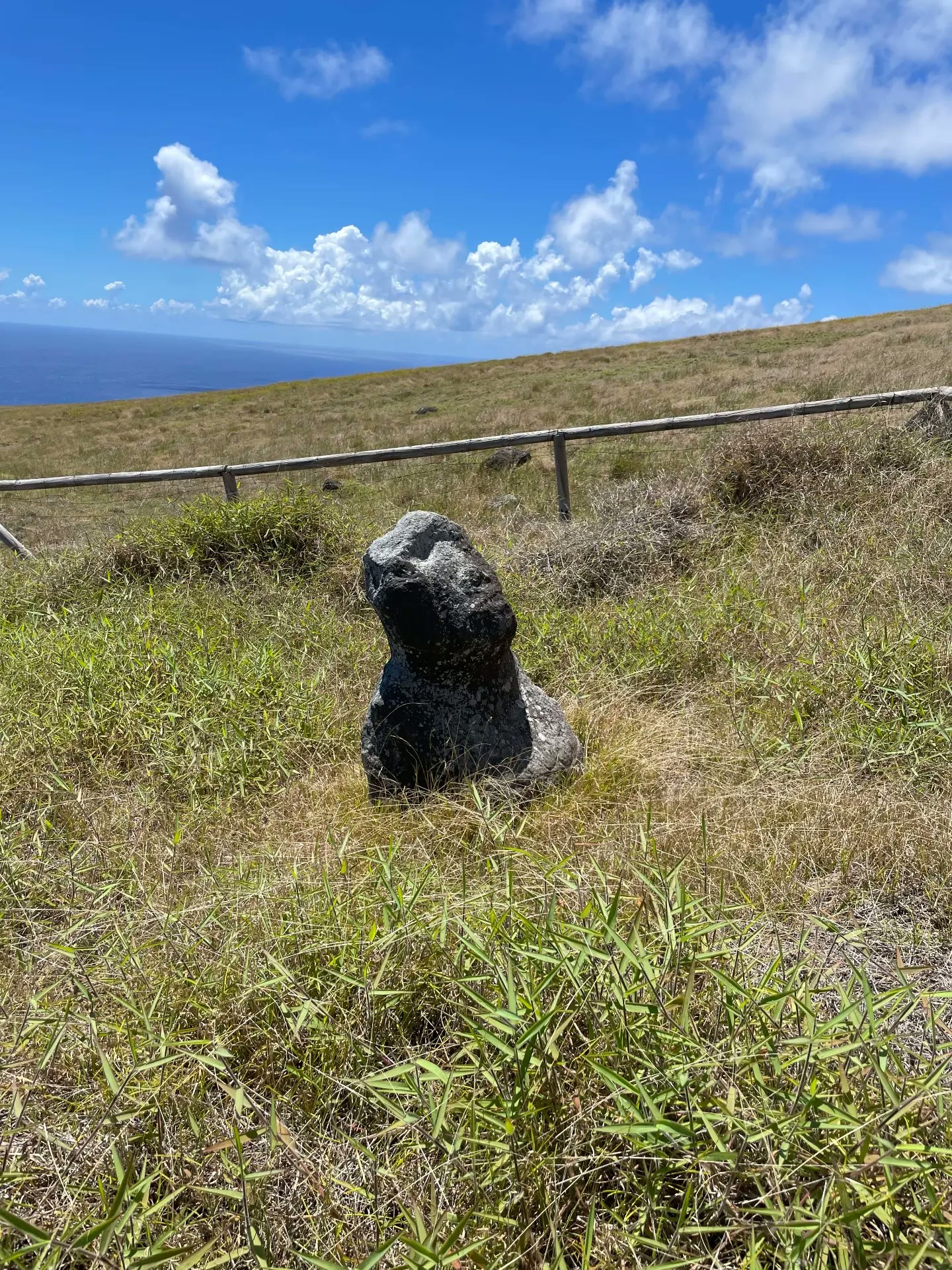 A small dark stone moai in the grass on Poike