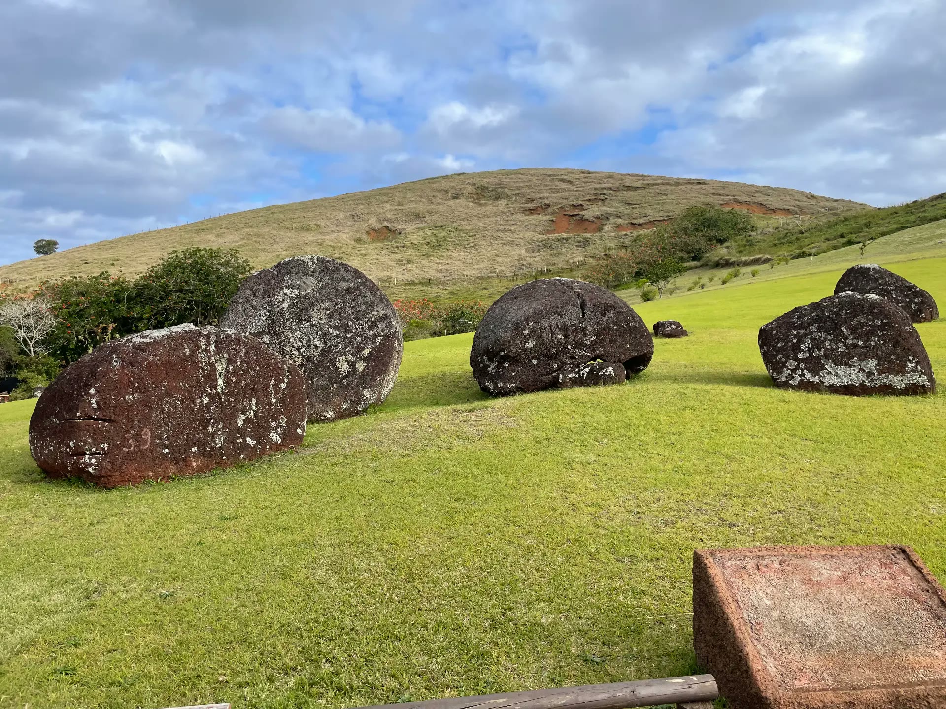 Large red and dark topknots lying on the grass below the Puna Pau quarry